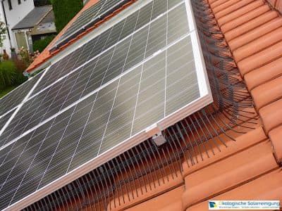 Vogelschutz – KlarSolar Leistung
